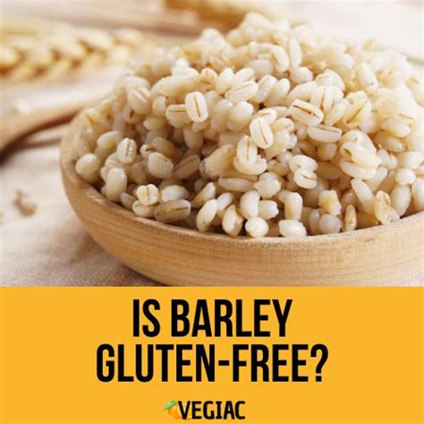 is malt barley gluten free.